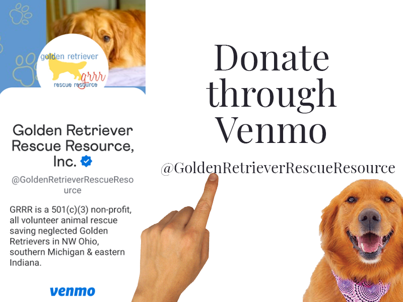 Donate to Golden Retriever Rescue Resource through Venmo