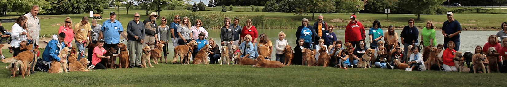 golden retriever puppies rescue ohio golden retriever for adoption ohio photo golden retriever puppies rescue ohio golden retriever for adoption ohio photo