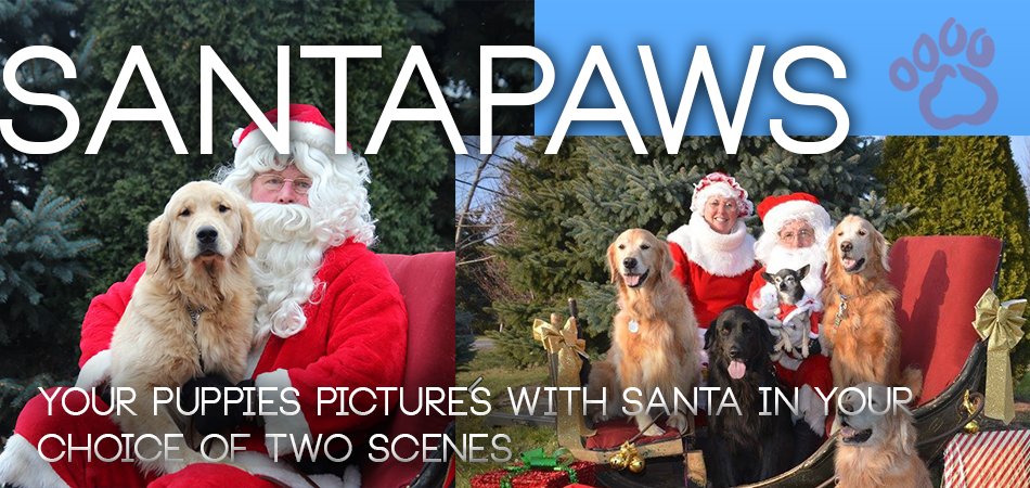 Golden Retrriever Rescue Resource Santa Paws pictures event