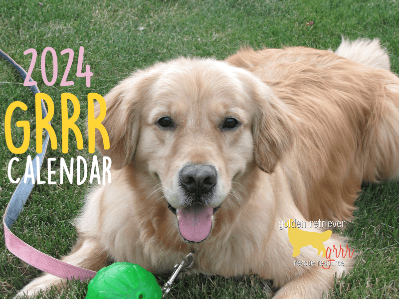 Indiana Ducks Unlimited Calendar Raffle 2025 Calendar Brandy Ainslie