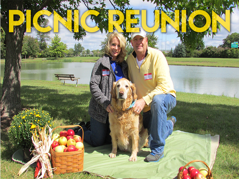 Golden Retriever Rescue Resource Picnic Reunion
