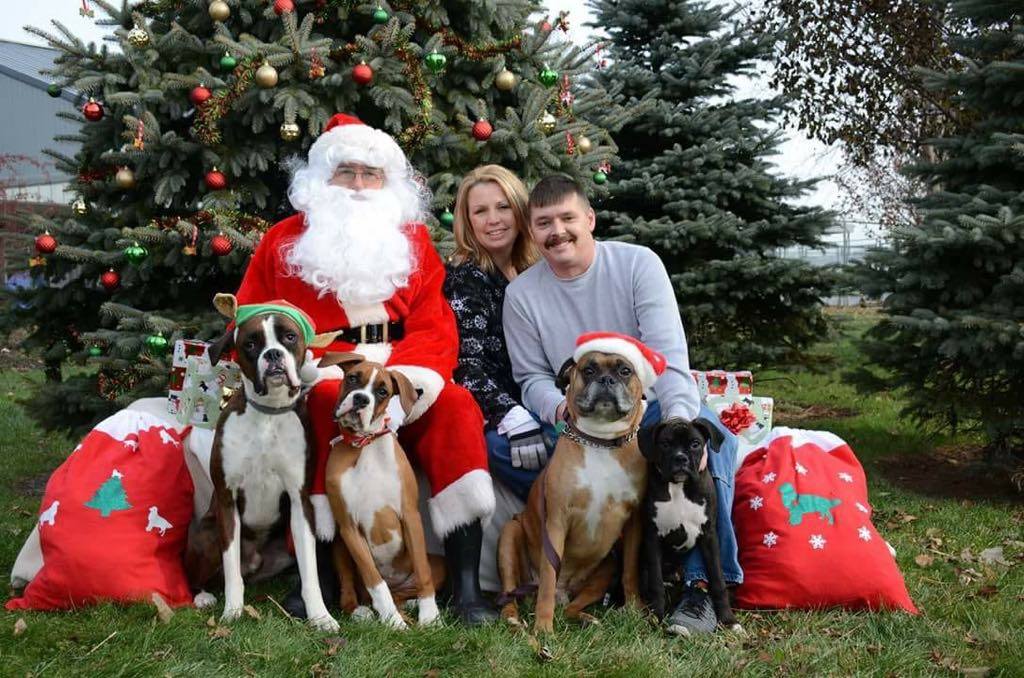 Santa Paws photos for dogs to beneft GRRR.