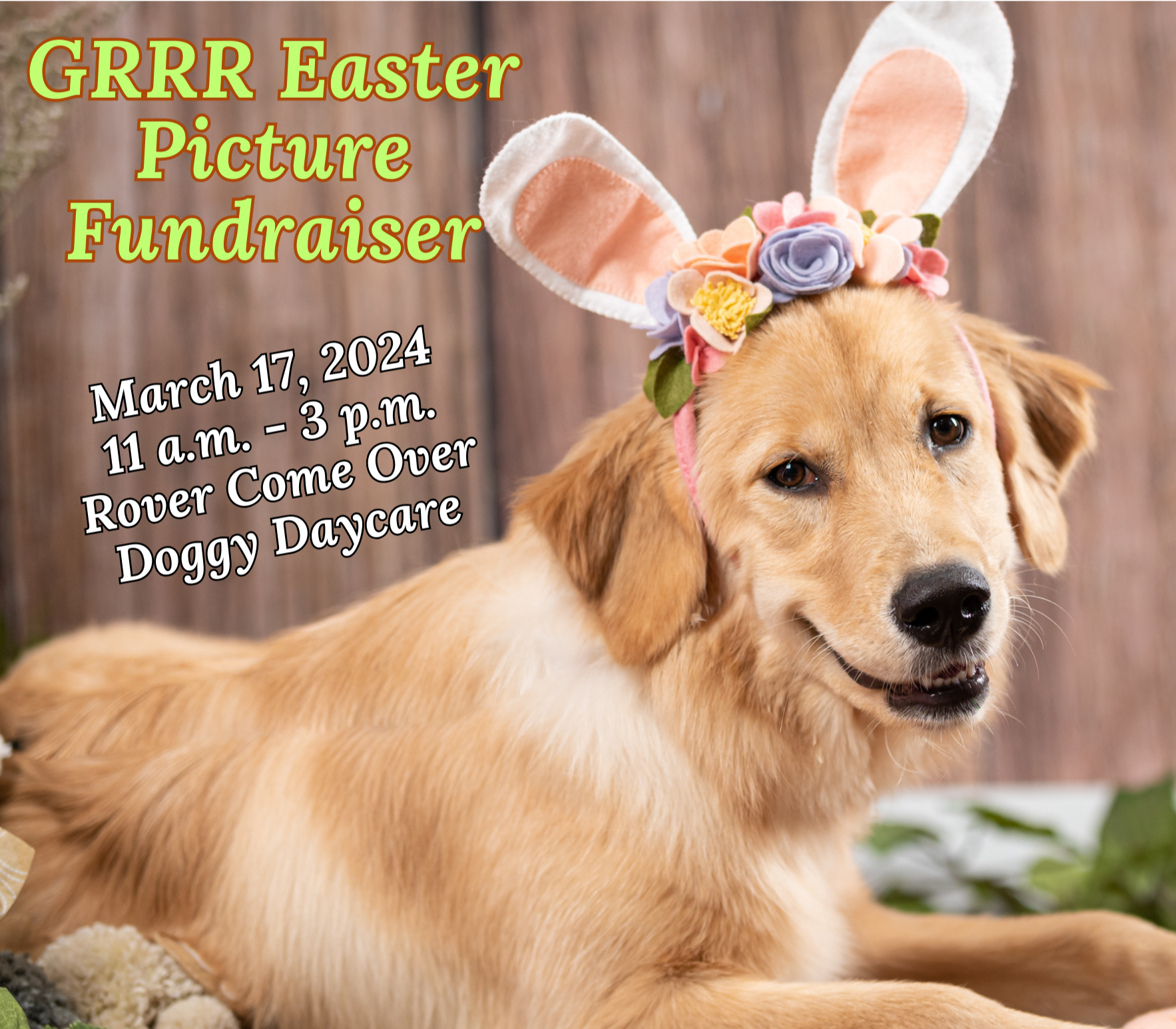 GRRR Photos with the Easter Bunny, benefits Golden Retriever Rescue Resource