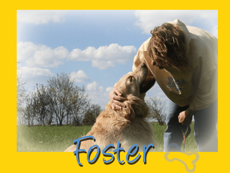 foster