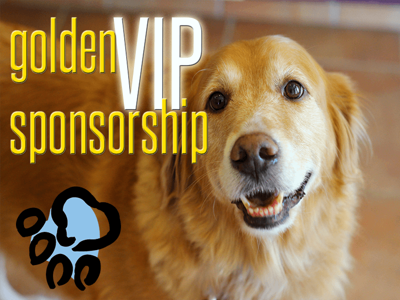 Golden Retriever Rescue Resource Golden VIP sponsorship