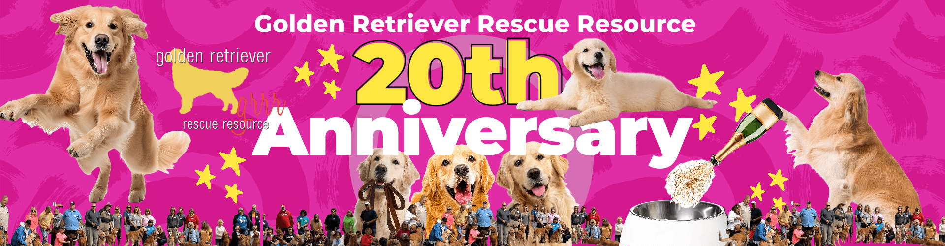 Golden Retriever Rescue Resource 20th anniversary banner. Adopt a golden retriever, serving Ohio, Michigan and Indiana for 20 years.