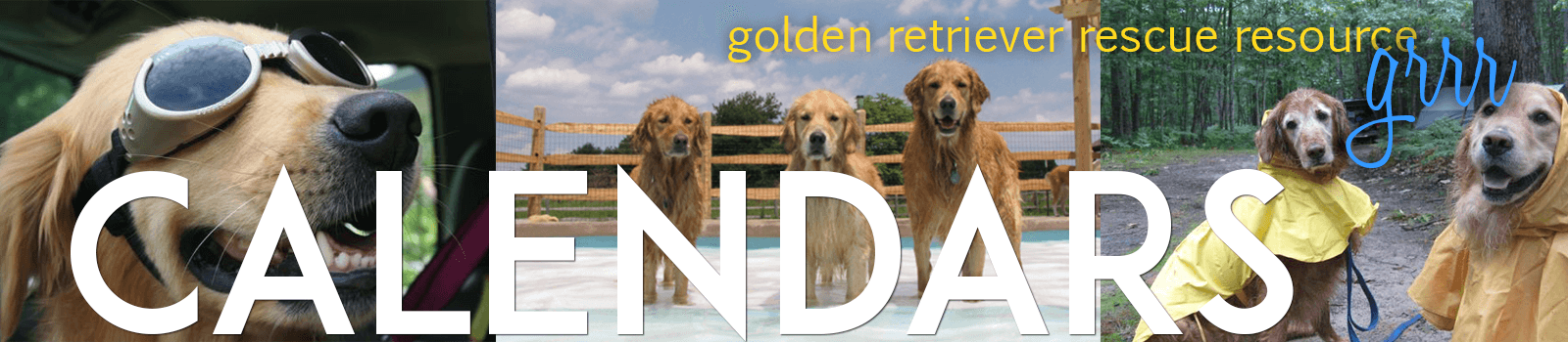 order a golden retriever calendar graphic
