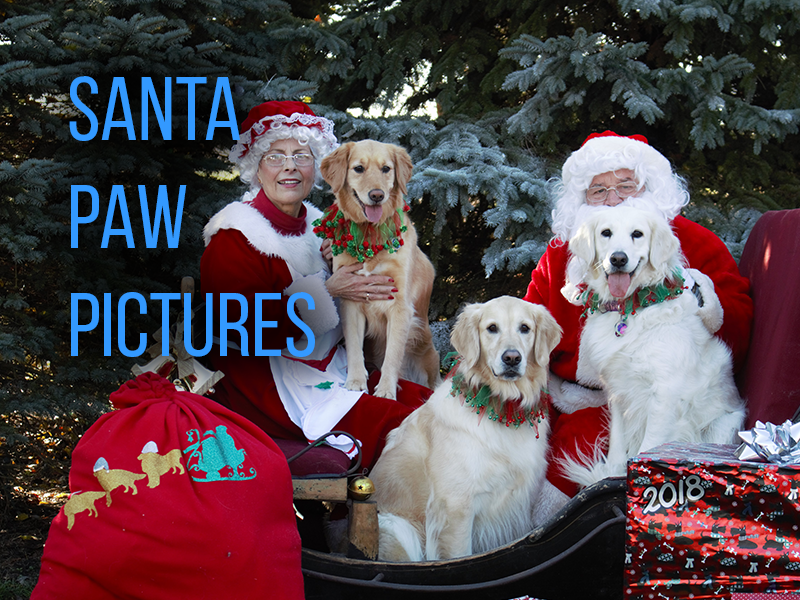 Pictures with Santa event for dogs and cats.