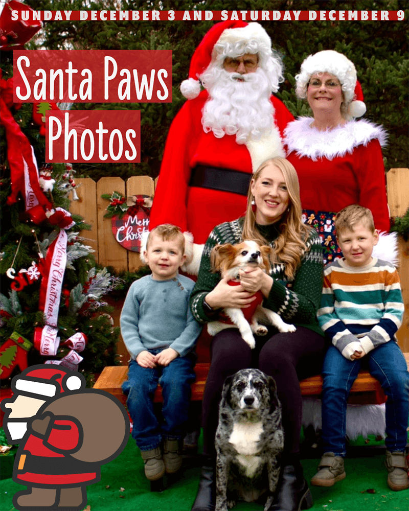 Golden Retriever Rescue Resource Garage Sale