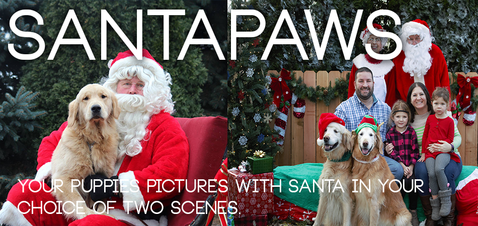Santa Paws photo event. Get your dogs picture taken with Santa Claus, a holiday event to benefit Golden Retriever Rescue Resource, a golden retriever rescue serving Ohio, Michigan and Indiana.