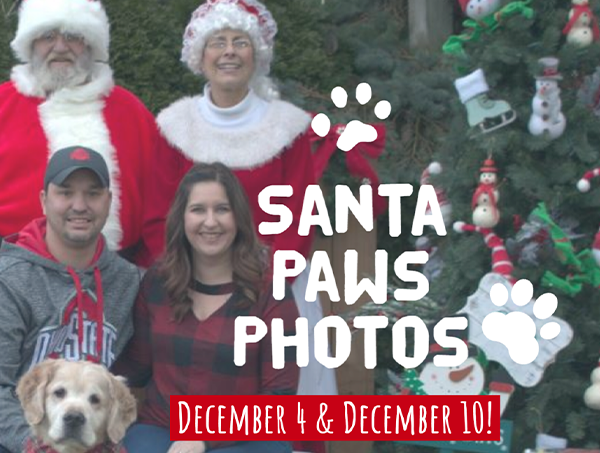 Santa Paws Pictures for Dogs and Cats to benefit Golden Retriever Rescue Resource
