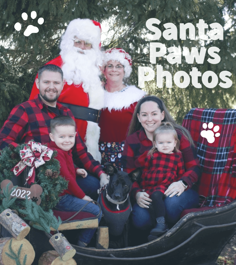 Santa Paws Photos for Pups and People, a fundraising event for Golden Retriever Rescue Resource, serving Ohio, Michigan and Indiana.