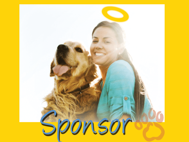 Sponsor a golden retriever graphic